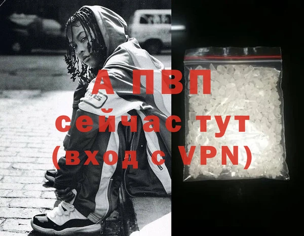 ECSTASY Белокуриха